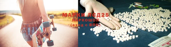 мескалин Богданович