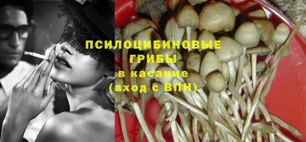 мескалин Богданович