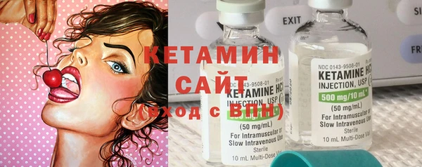 сатива Богородицк